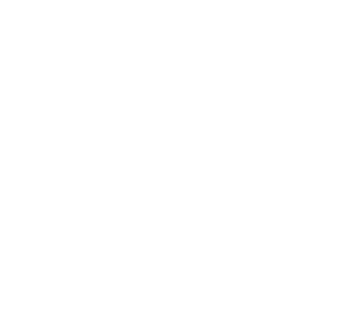 ELECTRIC ARC